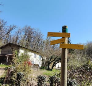 Boucle dans le bois de Serre en passant par Charbonnières - Dardilly - 3
