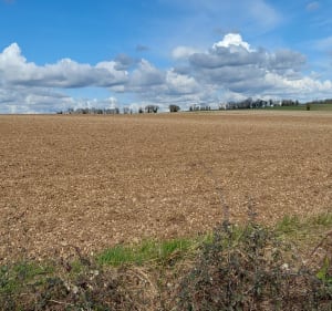 Entre Vars et Montignac - Vars - 3