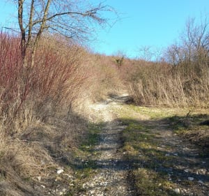 Złaz na górę kapturową - Szczaworyż - 5