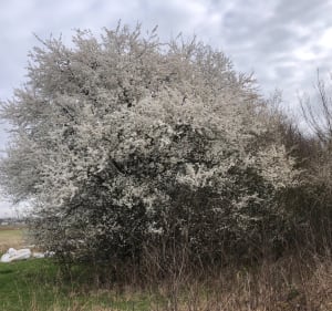 Egly a Avrainville et la Voie Creuse - Avrainville - 3