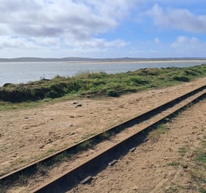 Marche sur l’île d’Oléron à Gatseau - Saint-Trojan-les-Bains - 4