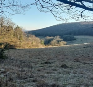 Sur les traces d'Henri Vincenot par la Bussière-sur-Ouche - Barbirey-sur-Ouche - 4