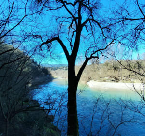 Les berges de l'Hérault - Stéphane - 5