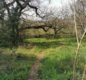Sortie VTT Nîmes Caissargues Bouillargues - Nîmes - 5