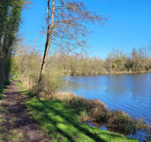 Entre champs et marais à Ecourt St Quentin - Écourt-Saint-Quentin - 4