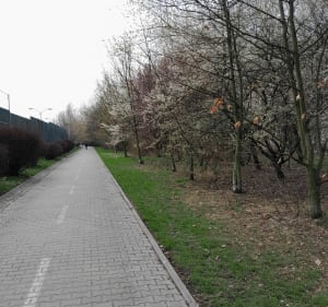 Spacer do nowo otwartego Parku przy ul.Leopolda - Katowice - 3