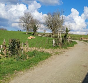 Treillières par la voie verte et les coteaux du Gesvres - Treillières - 3