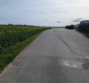 Balade familiale en vélo à travers les champs - Chaleins - 4