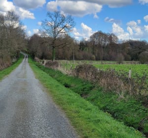 Treillières par la voie verte et les coteaux du Gesvres - Treillières - 5