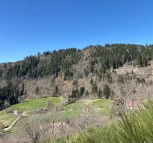 Sentier de la Ragate Labresse - La Bresse - 3