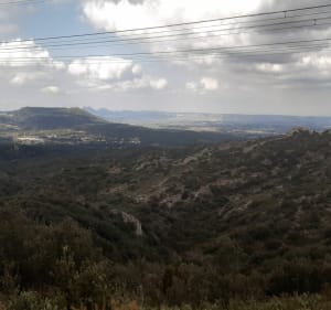 Sur le Plateau de Séze et Roqueventrène - Lambesc - 3