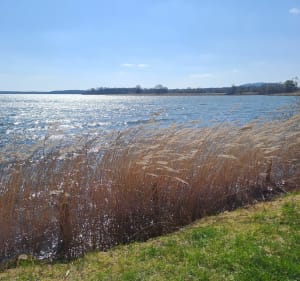Balade autour du lac de Madine par Gérars Sart - Heudicourt-sous-les-Côtes - 3
