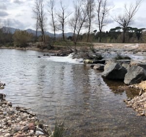 L’Endre, ses fleurs, ses lacs - La Motte - 3
