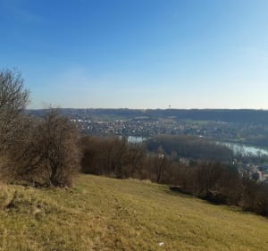 Sur les hauteurs d'Albigny-sur-Saône par le Crêt - Albigny-sur-Saône - 3