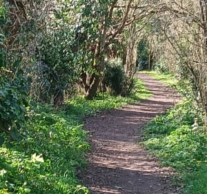 À l'ouest de Couëron, par la Bourdinière - Couëron - 3