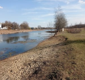 Spacer dokoła Stawu Plaszowskiego - Kraków - 3