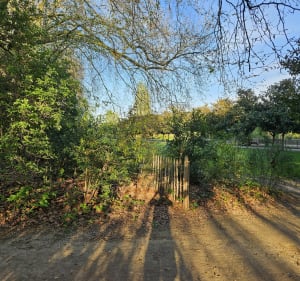 Île Saint-Germain, par Bas Meudon - Issy-les-Moulineaux - 3