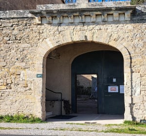 Parcourir les sous-bois de Saussan, Pignan et Murviel - Cournonterral - 5
