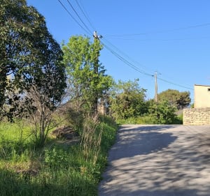 De Grans à Istres - Grans - 5