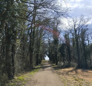 La boucle des cloches Liniers-lavoux - Liniers - 4