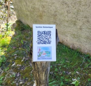 Le chemin des 3 coteaux PR2 et au Moulin de Doat - Castéra-Verduzan - 4