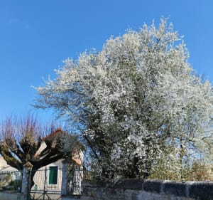La boucle des cloches Liniers-lavoux - Liniers - 5