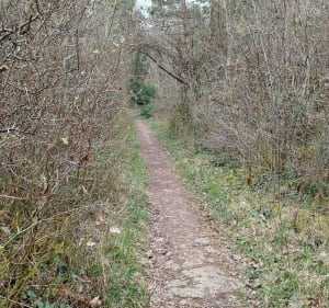 Boucle dans la vallée de l'Anguienne sous Soyaux - Trois-Palis - 4