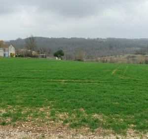 Boucle dans la vallée de l'Anguienne sous Soyaux - Trois-Palis - 5