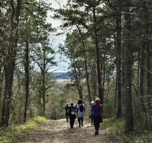 De Boutigny à Courdimanche, le Parc naturel du Gâtinais - Boutigny-sur-Essonne - 4