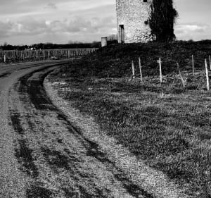 Randonnée proche de Podensac - Podensac - 5