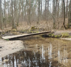 Wokół rezerwatu Grądy nad Lindą" - Lućmierz-Las - 3