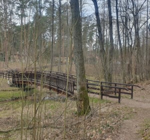 Wokół rezerwatu Grądy nad Lindą" - Lućmierz-Las - 5