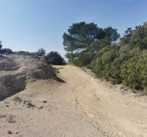 Randonnée à Valliguières - Valliguières - 5