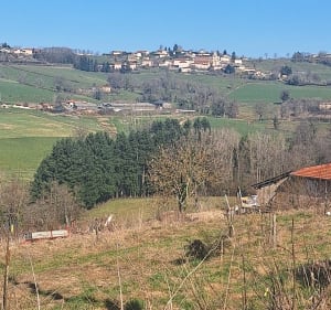 De Marnand à l'étang du Sibert - Thizy-les-Bourgs - 4