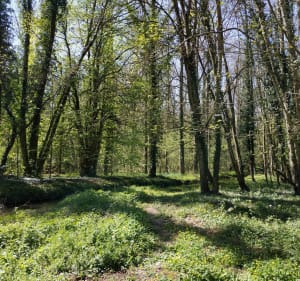 Balade aux alentours d'Ymeray - Ymeray - 5