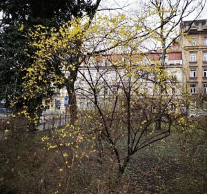 Spacer wokół Wawelu. - Kraków - 3