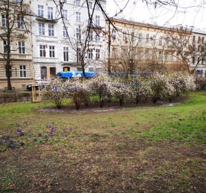 Spacer wokół Wawelu. - Kraków - 4