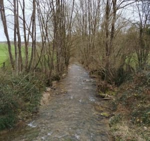 Dans les bois de Saint-Roch - Chaumont - 3