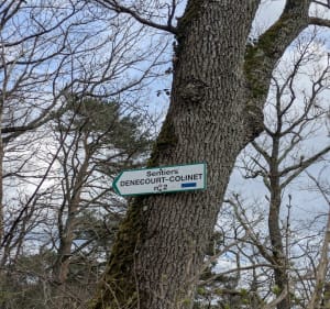 Sentier 2 des fontaines écourté - Fontainebleau - 5