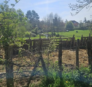Balade entre la petite ville de Dardilly et ses bois - Chloe - 3