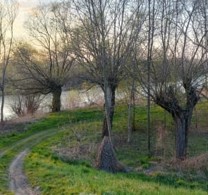 Przetestujmy gravele okolicami Tarnowa - Tarnów - 3