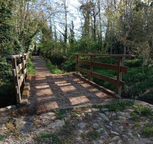 Les quatre petits ponts - Coulonges-sur-l'Autize - 3
