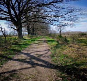 Étang des Landes - Michel - 2