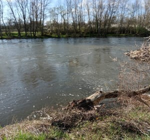 De Crevant Laveine à Vinzelles - Crevant-Laveine - 4
