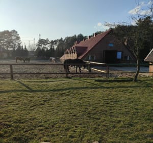 Wawrzkowizna koło  Bełchatowa - Wawrzkowizna - 3