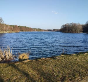 Wawrzkowizna koło  Bełchatowa - Wawrzkowizna - 4