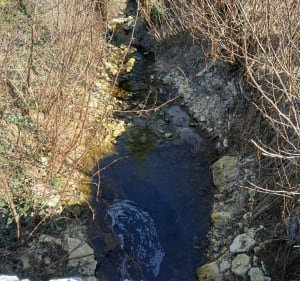Annet-sur-Marne et ru du Botteret - Annet-sur-Marne - 4