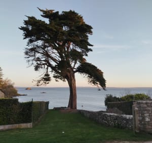Balade matinale entre Douarnenez et Tréboul - Douarnenez - 3