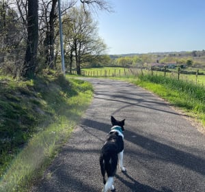 Balade Bors-de-Baignes - Bors(Canton de Baignes-Sainte-Radegonde) - 3