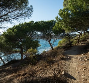 Randonnée au Cap Lardier par la Baie de Cavalaire - La Croix-Valmer - 4
